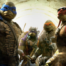 Who Are The Teenage Mutant Ninja Turtles and the New Movie 2014?