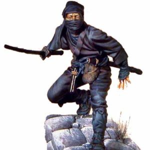 Who Were The Ninja People Part 2? Training Tactics and Disguises